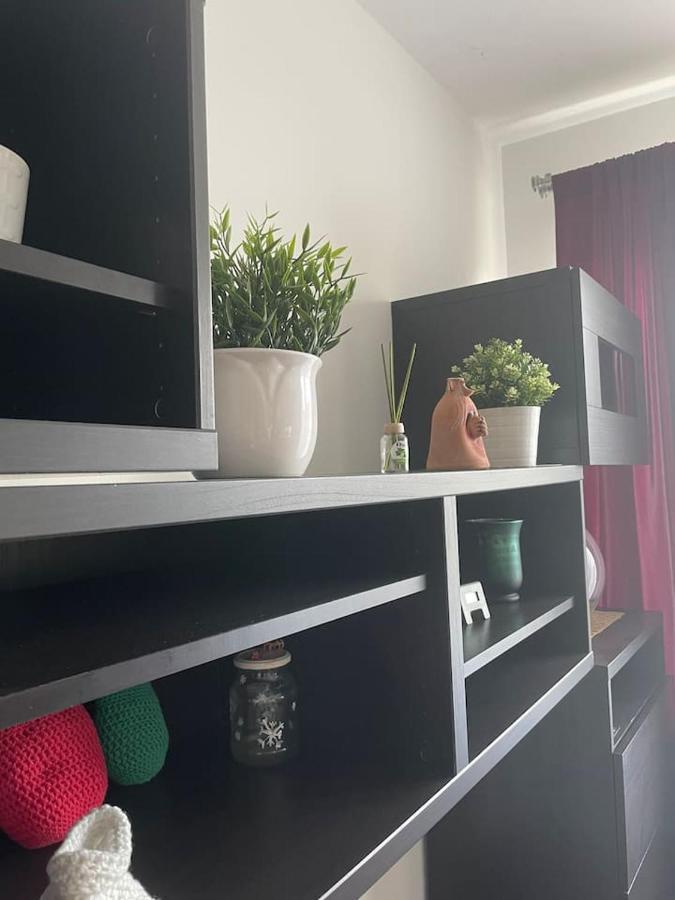 Studio Viva - Cosy Flat In Budapest - Free Parking Exterior photo