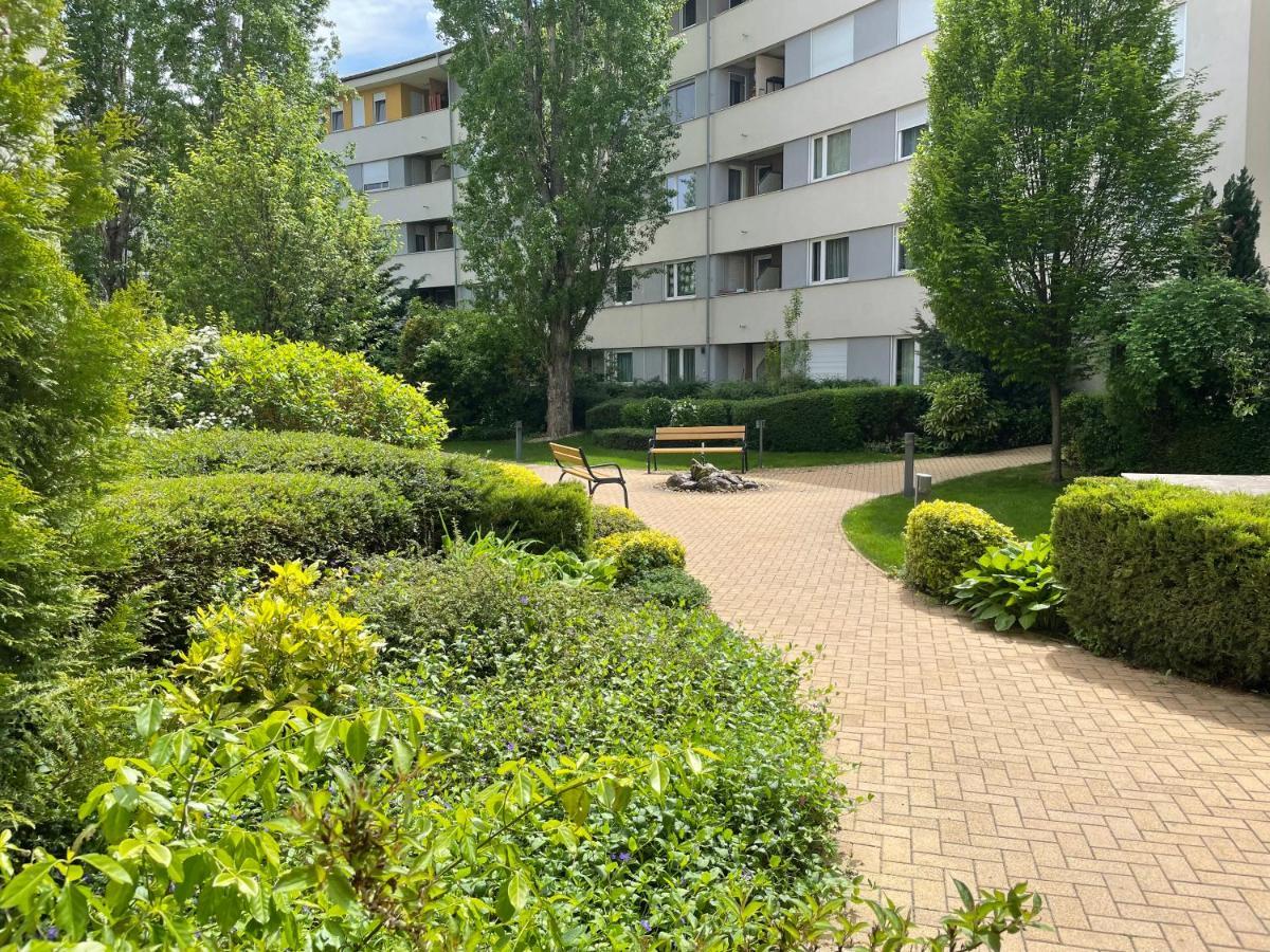 Studio Viva - Cosy Flat In Budapest - Free Parking Exterior photo