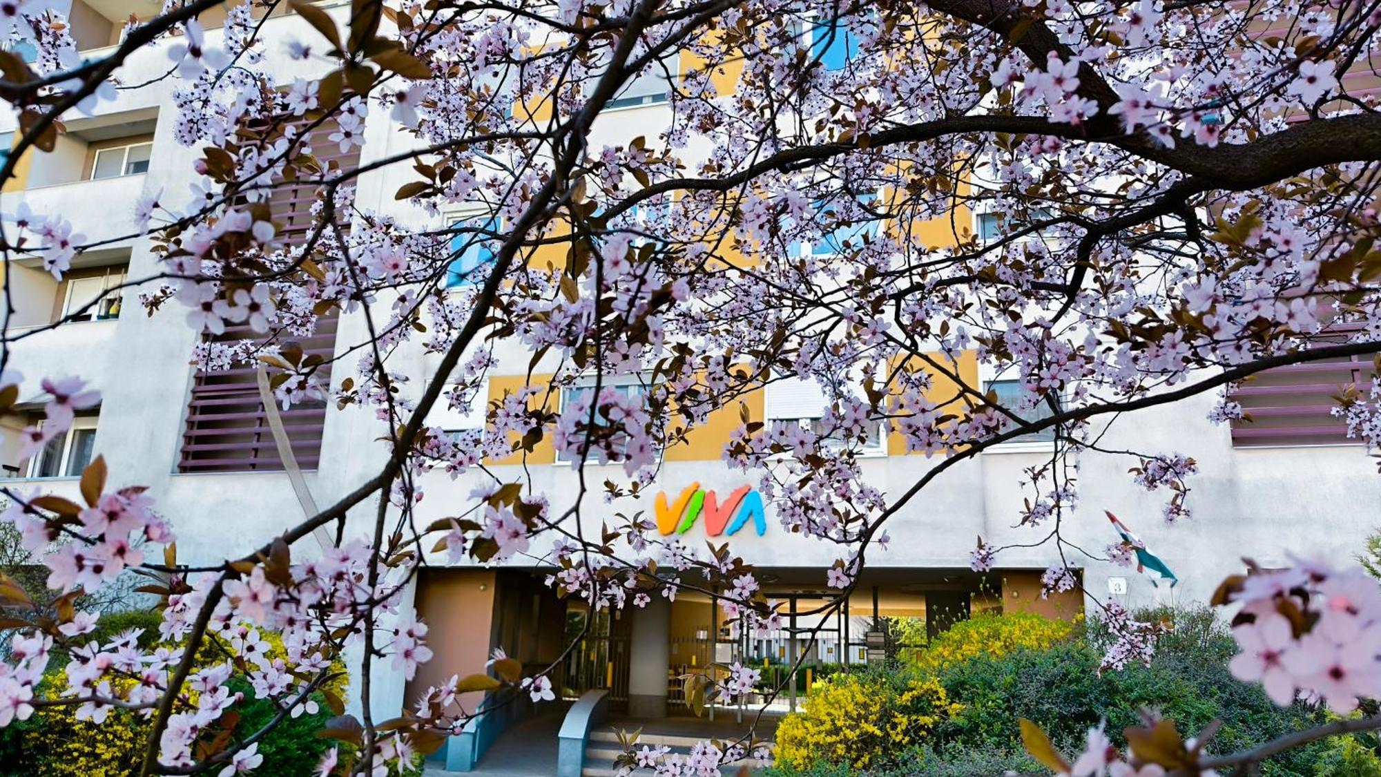 Studio Viva - Cosy Flat In Budapest - Free Parking Exterior photo